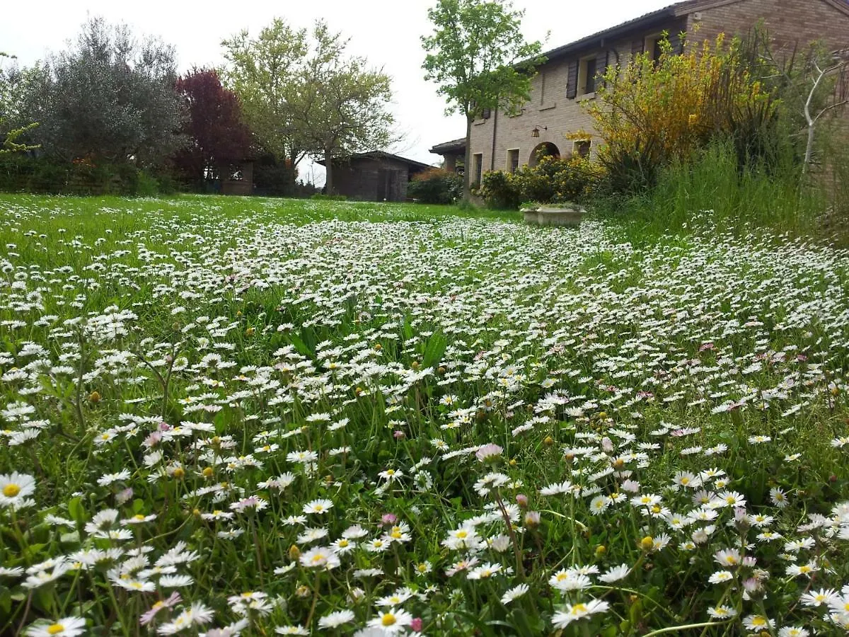 Tramontodivino b&b San Pietro in Vincoli 0*,